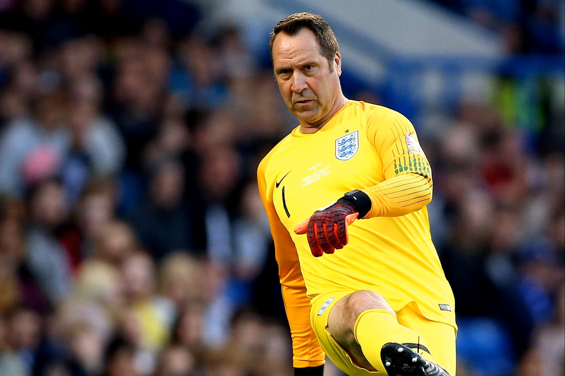 David Seaman Pandangan Jujur