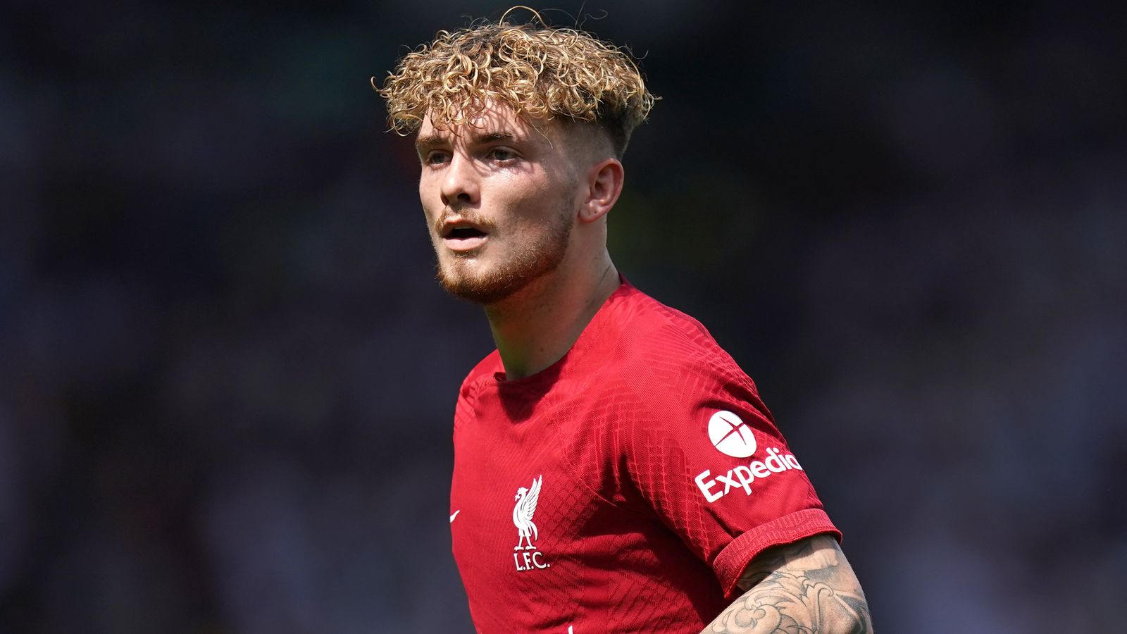 Harvey Elliott Bayang Bayang Transfer